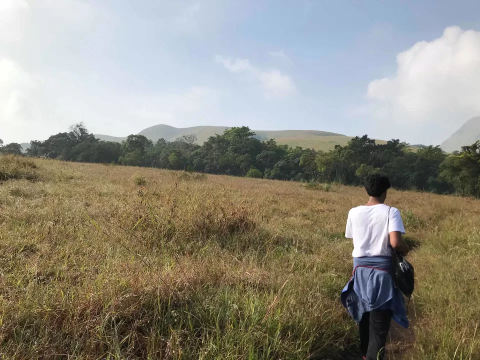 Photo of Kudremukh, Karnataka, India by Sidhant Madaan
