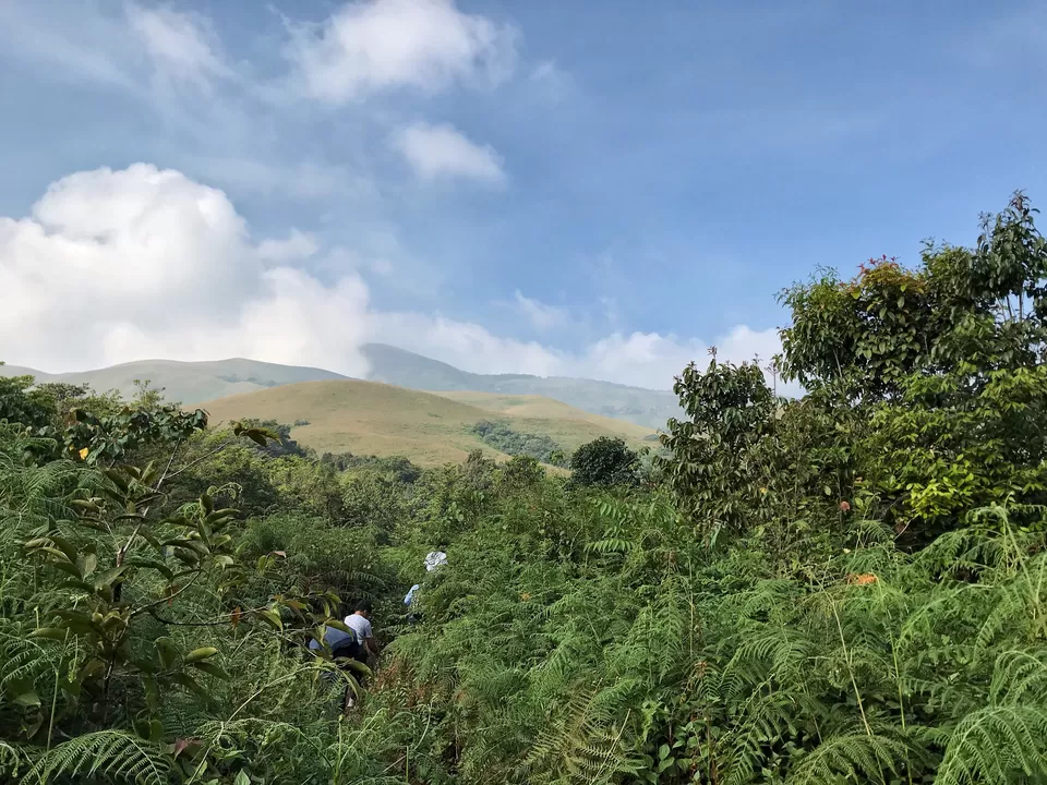 Photo of Kudremukh, Karnataka, India by Sidhant Madaan