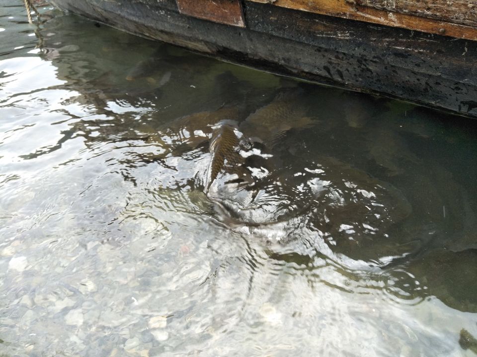 Photo of THE WAY I WENT.. I REALLY DON'T WANT TO COME BACK 15/17 by Shraddha Thakur