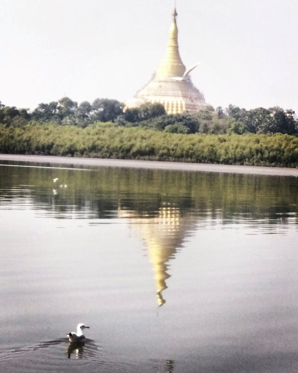 Photo of Pagoda:- A place where you find serenity. 3/22 by Shraddha Thakur