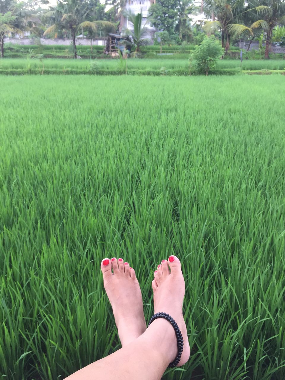 Photo of Bali aka The Island of Gods: The semi- luxurious way to explore by Sowmya Sruthi Ch