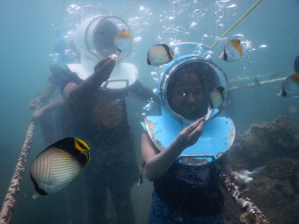 Photo of Sea Walker Tour, Sanur - Bali, Sanur, Denpasar City, Bali, Indonesia by Sowmya Sruthi Ch