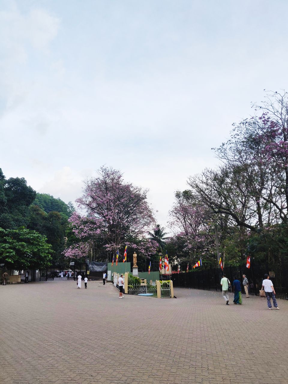 Photo of Kandy, Sri Lanka by Sowmya Sruthi Ch
