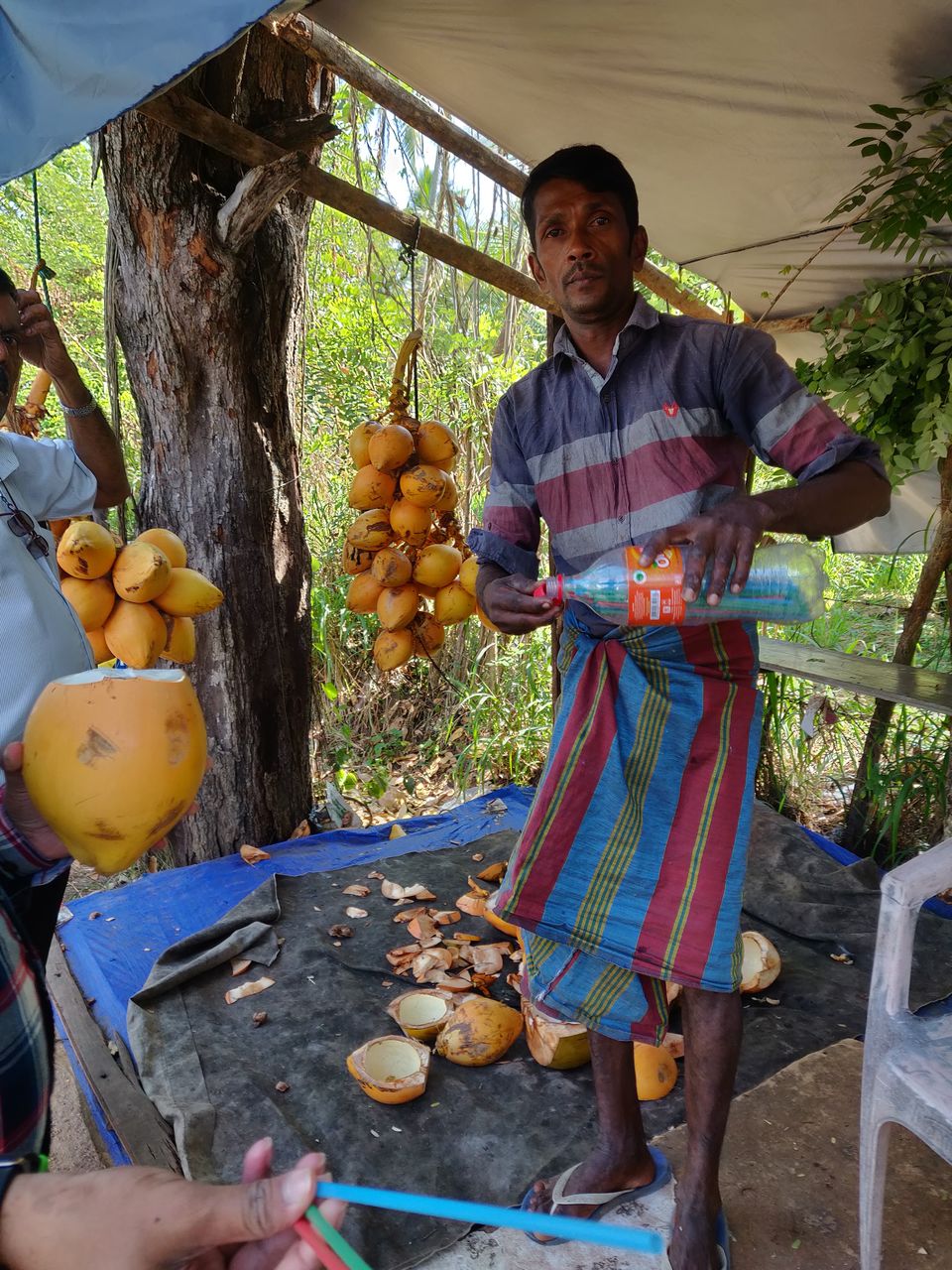 Photo of Tick off Srilanka under Rs 30K for 3N/4D by Sowmya Sruthi Ch