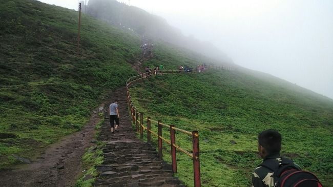 Photo of Short Hikes and Treks near Mumbai That Will Easily Fit Into Your Weekend Plans 1/1 by Disha Kapkoti
