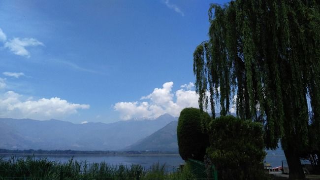 Photo of People of Kashmir Showed Me That Srinagar Tourist Places Are More Than Just Dal Lake and Shikaras by Disha Kapkoti