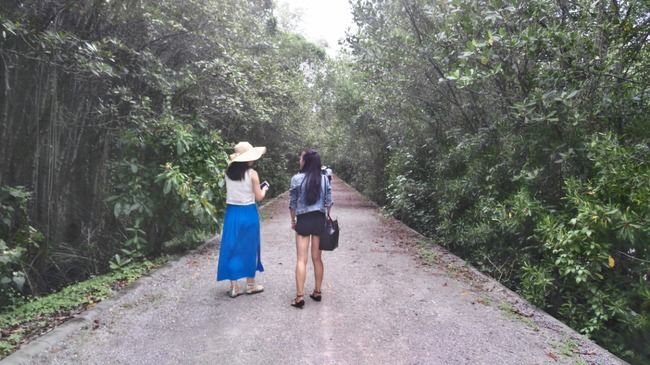 Photo of Mangrove Pranburi Pran Buri Prachuap Khiri Khan Thailand by Disha Kapkoti