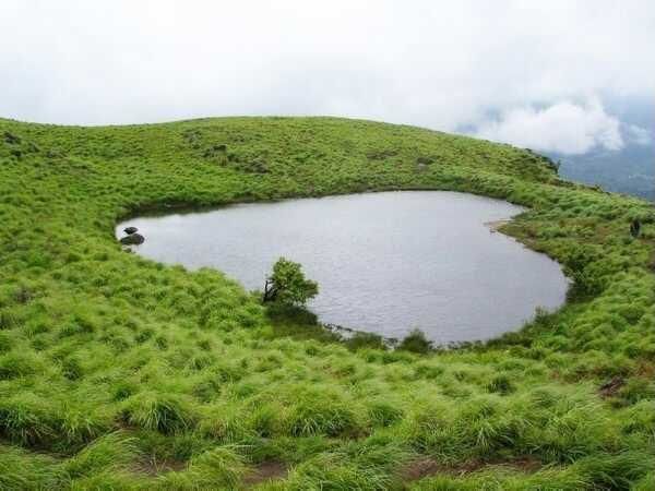 Photo of Wayanad, Kerala, India by Disha Kapkoti