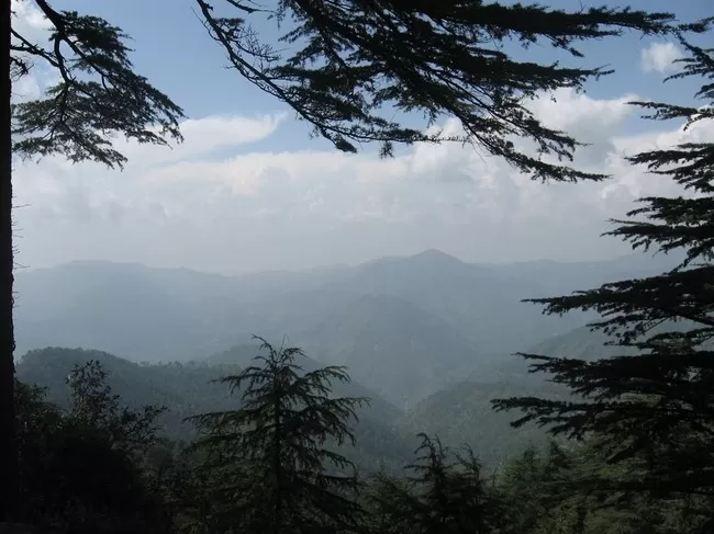 Photo of Chail, Himachal Pradesh, India by Disha Kapkoti