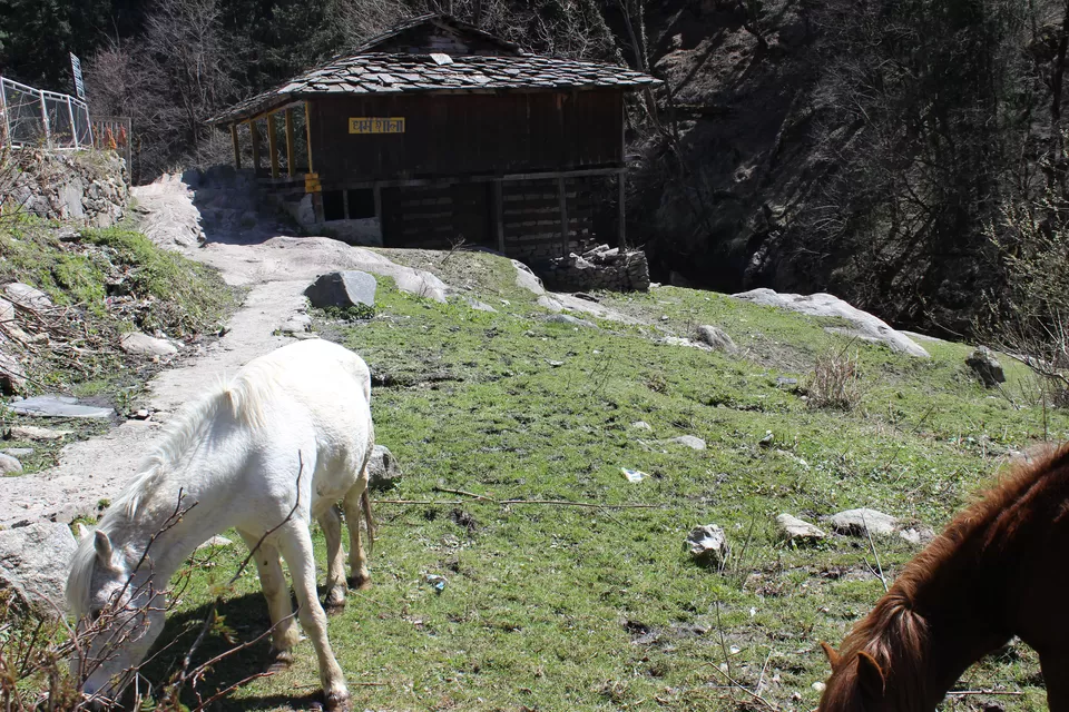 Photo of Rudranag by Disha Kapkoti