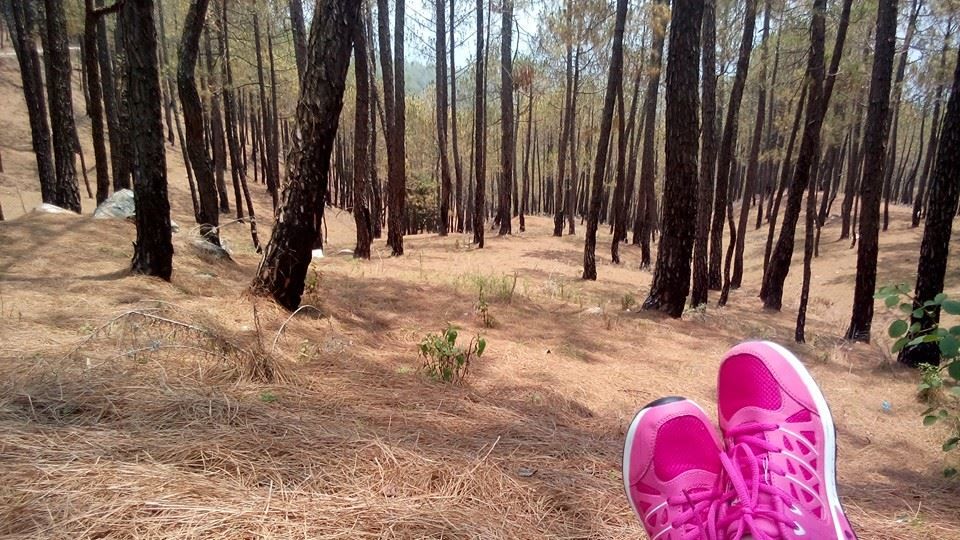 Photo of From A Hidden Home In The Hills Of Almora, Uttarakhand 4/19 by Disha Kapkoti