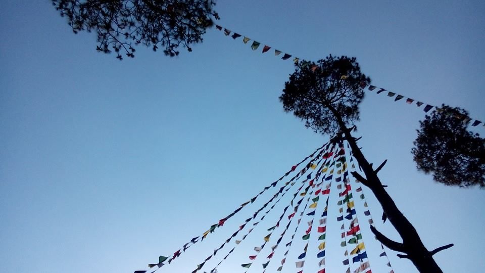 Photo of From A Hidden Home In The Hills Of Almora, Uttarakhand 5/19 by Disha Kapkoti