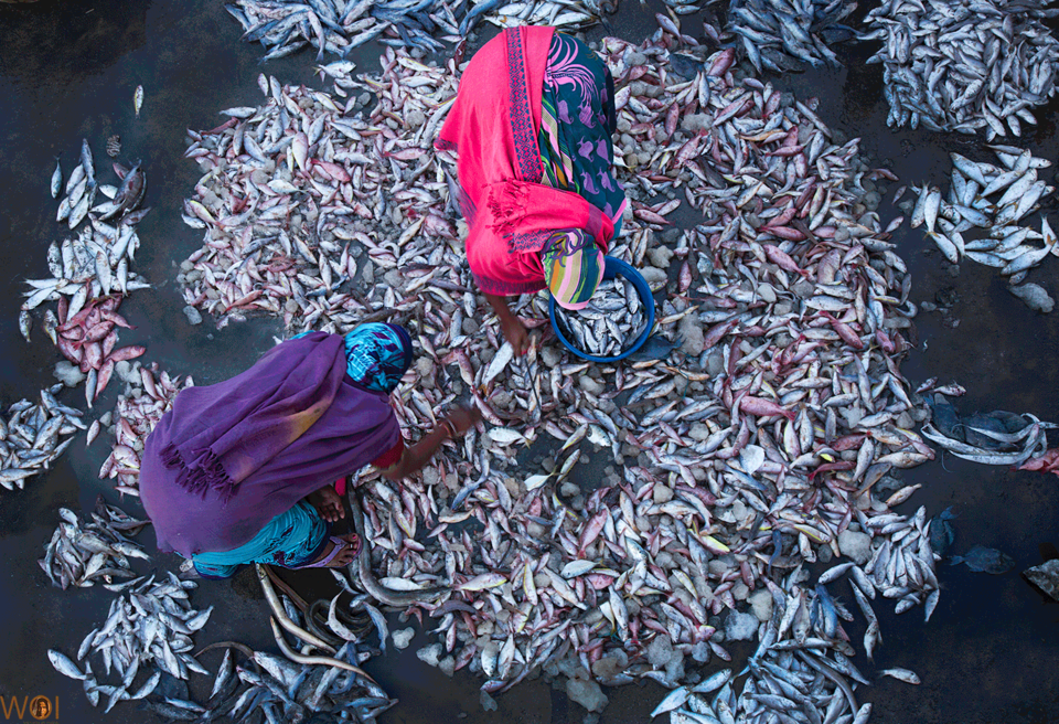 Photo of Meet The Photographer Who Travelled Across India To Capture The Real Struggles Of Women 9/10 by Disha Kapkoti