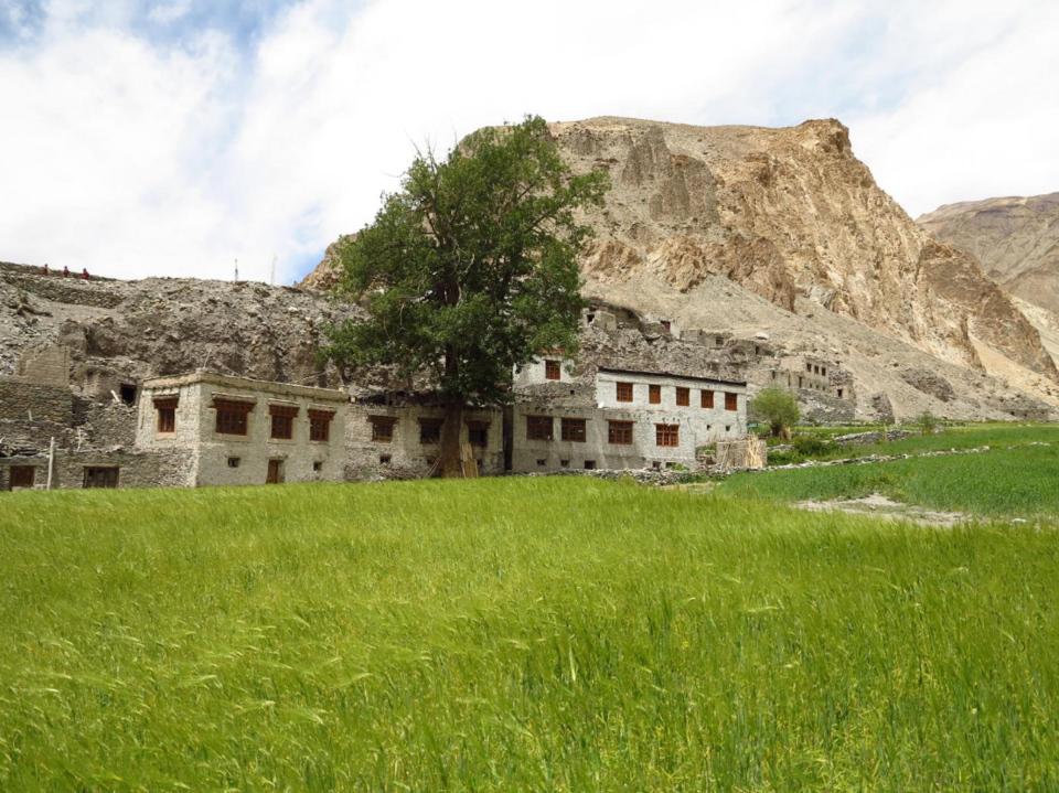 Photo of 8 Offbeat Things To Do In Ladakh That Will Change The Way You Travel 2/8 by Disha Kapkoti