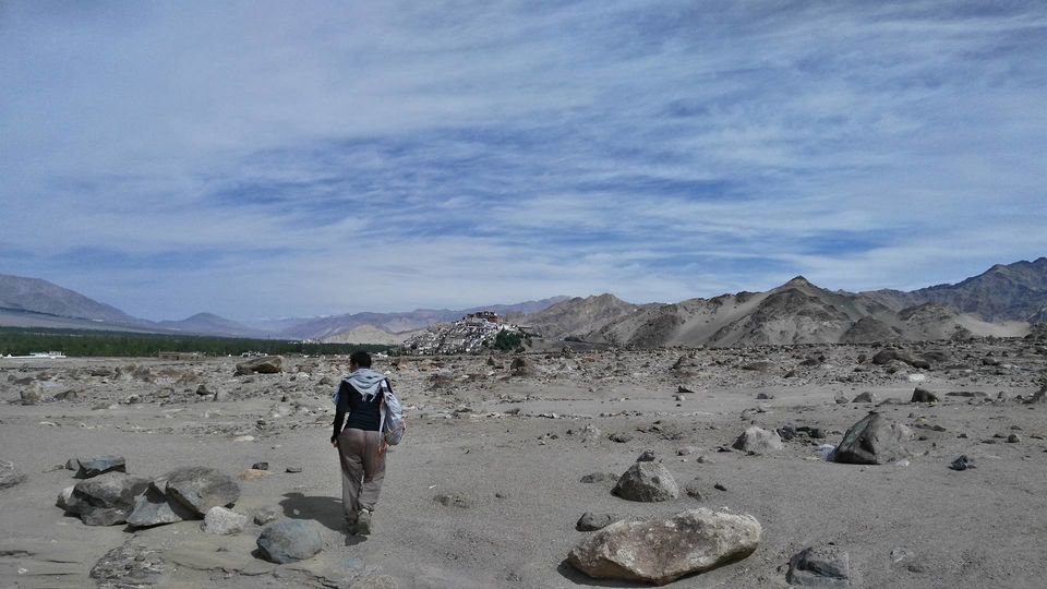 Photo of At 11,000 ft, a man asked me, "Why do women want to be like men?” 17/23 by Disha Kapkoti