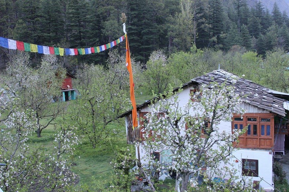 Photo of Kasol, Himachal Pradesh, India by Disha Kapkoti