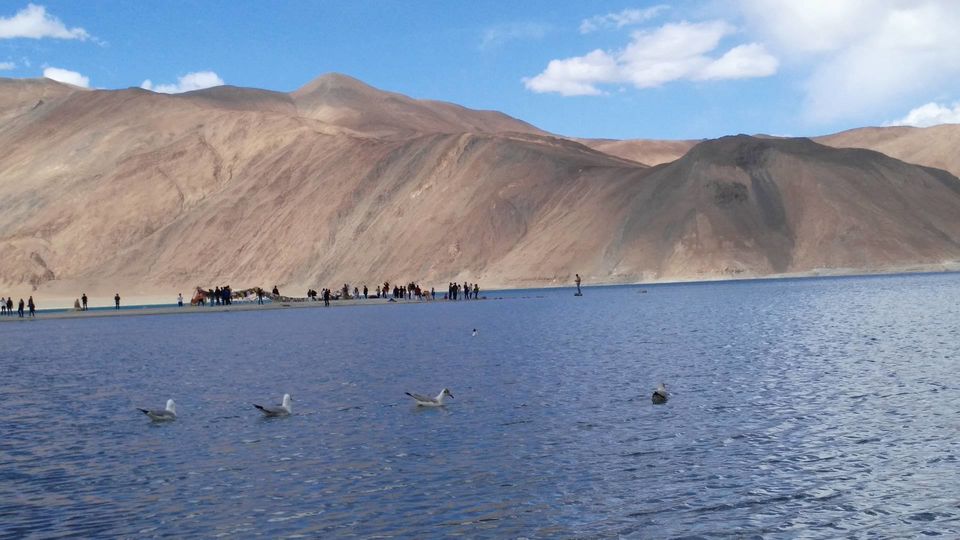 Photo of '3 Idiots' Has Brought A Bunch Of Idiots To Pangong Lake And We Really Need To Talk About It by Disha Kapkoti
