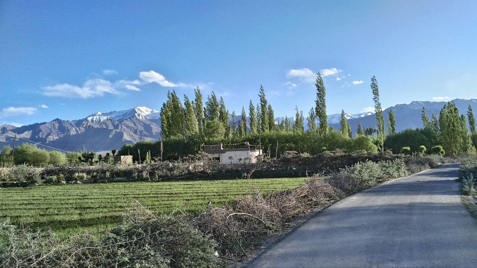 Photo of The Taras Homestay: A Nunnery In Ladakh Where I Spent The Night by Disha Kapkoti