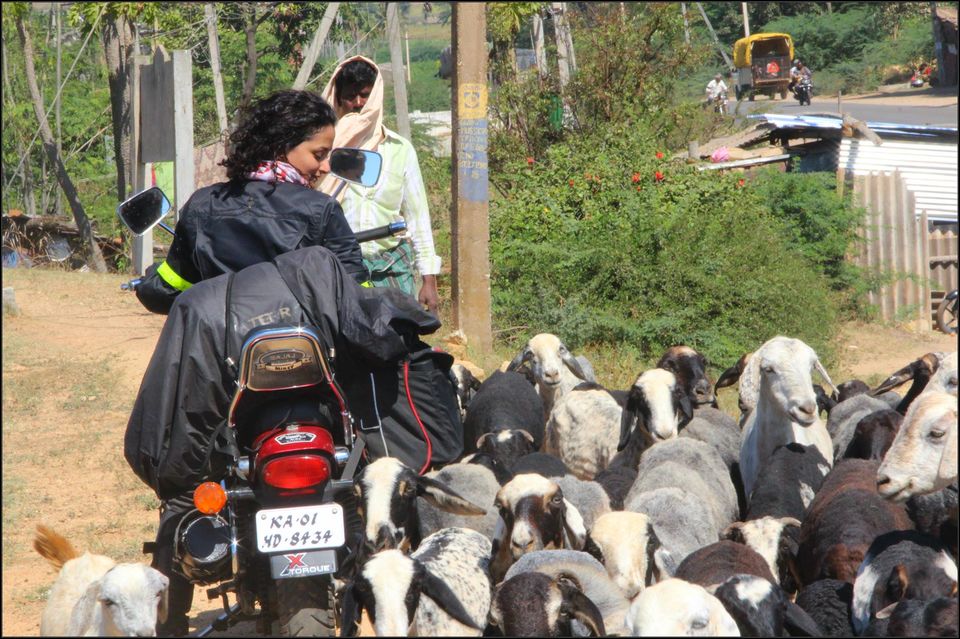 Photo of Bengalaru Biker Esha Gupta Covers 38,000 km. Sets Record For Longest Journey By A Woman On Wheels 2/5 by Disha Kapkoti
