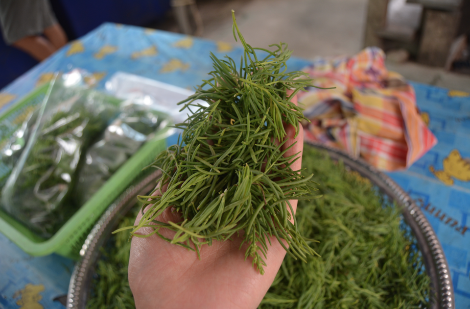 Photo of Must-See Photographs From Central Thailand If You're In A Serious Relationship With Food by Disha Kapkoti