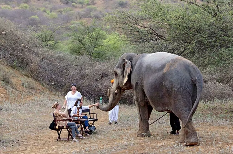 Photo of 10 Holiday Experiences That Are Beyond The Ordinary In India 6/20 by Disha Kapkoti