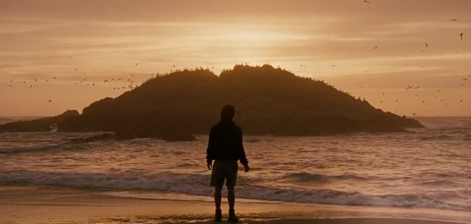 Photo of Into The Wild: One Movie That Turned Us Into The Supertramp Generation 4/6 by Disha Kapkoti