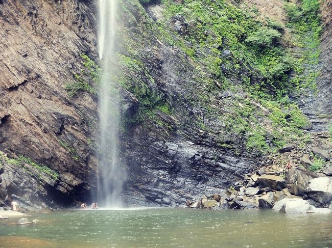 Photo of Agumbe, Karnataka, India by Disha Kapkoti