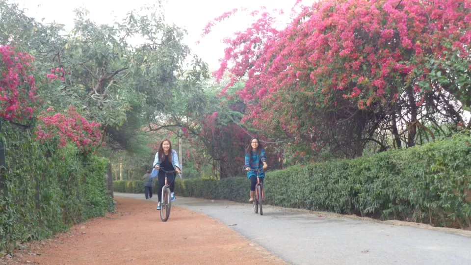 Photo of Kamla Nehru Ridge, New Delhi, Delhi, India by Disha Kapkoti