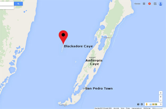 Photo of Leo DiCaprio Is Restoring An Island In Belize By Converting It Into An Eco-Resort 2/7 by Disha Kapkoti