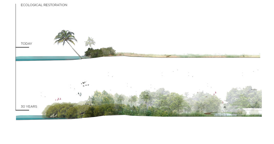 Photo of Leo DiCaprio Is Restoring An Island In Belize By Converting It Into An Eco-Resort 6/7 by Disha Kapkoti