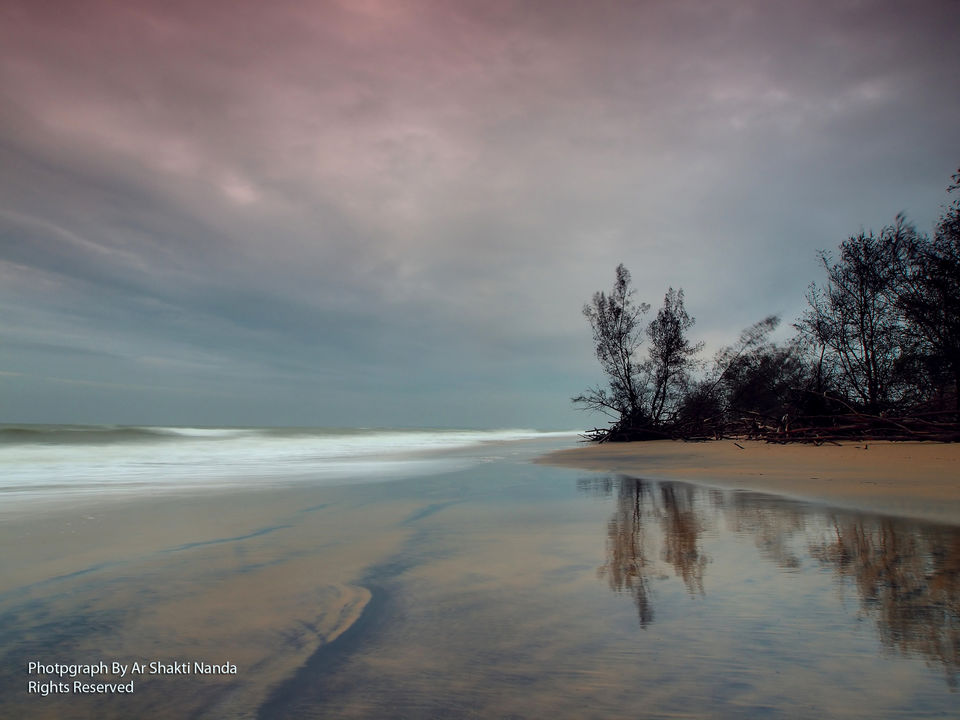 Photo of Bhitarkanika National Park, Bhitarkanika, Odisha, India by Disha Kapkoti