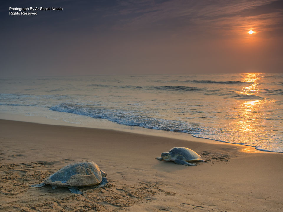 Photo of Rushikulya River, Ganjam, Odisha, India by Disha Kapkoti