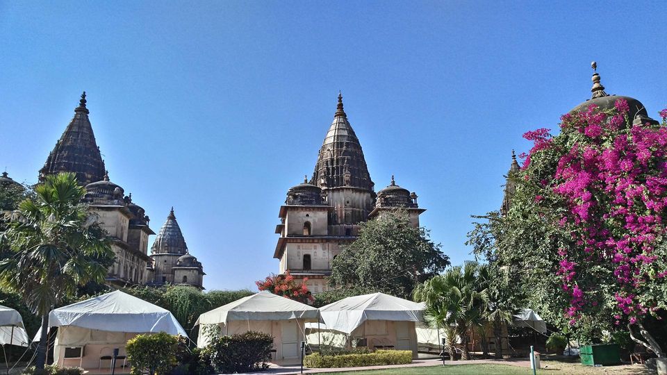 Photo of Guess What? The Most Convenient Weekend Getaway From Delhi Is Orchha In MP by Disha Kapkoti