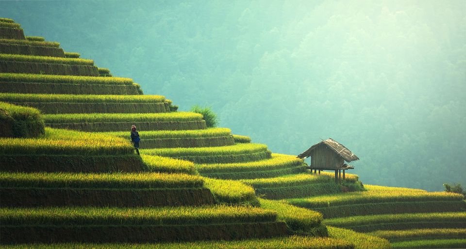 Photo of This Study Reveals Why You Feel Like A Mountain Or A Beach Person 4/6 by Disha Kapkoti
