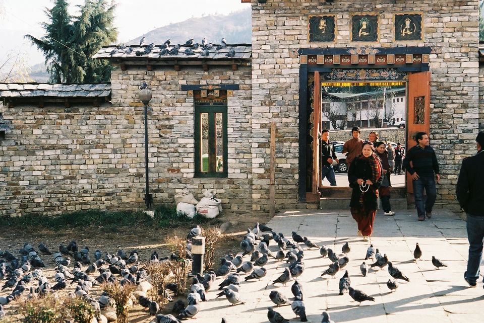 Photo of Bhutan by Disha Kapkoti