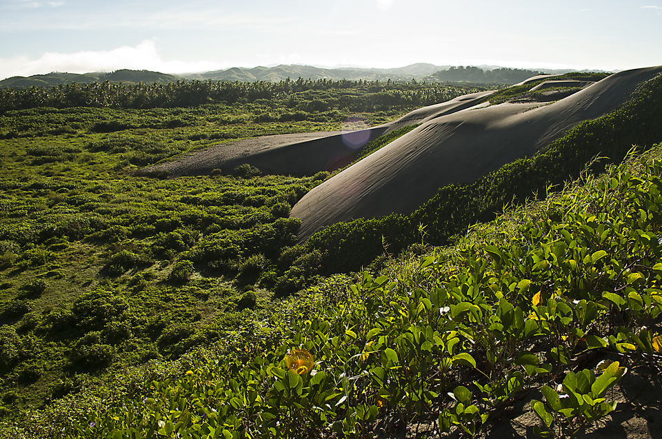 Photo of Sigatoka Sand Dunes, Queens Road, Yadua, Fiji by Disha Kapkoti