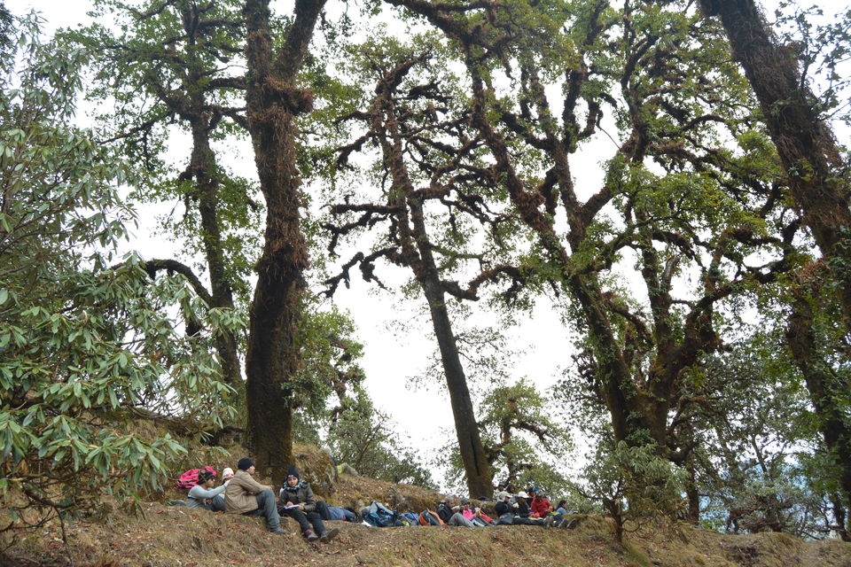 Photo of A Trek Leader's Rulebook On How To Survive A Snow Trek To Brahmatal by Disha Kapkoti