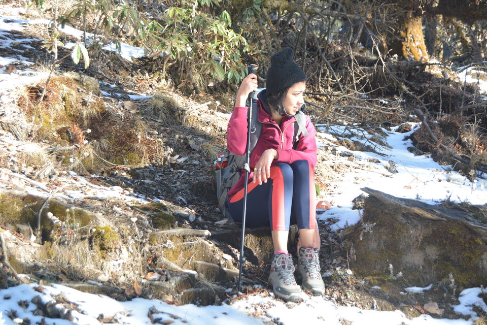 Photo of A Trek Leader's Rulebook On How To Survive A Snow Trek To Brahmatal by Disha Kapkoti