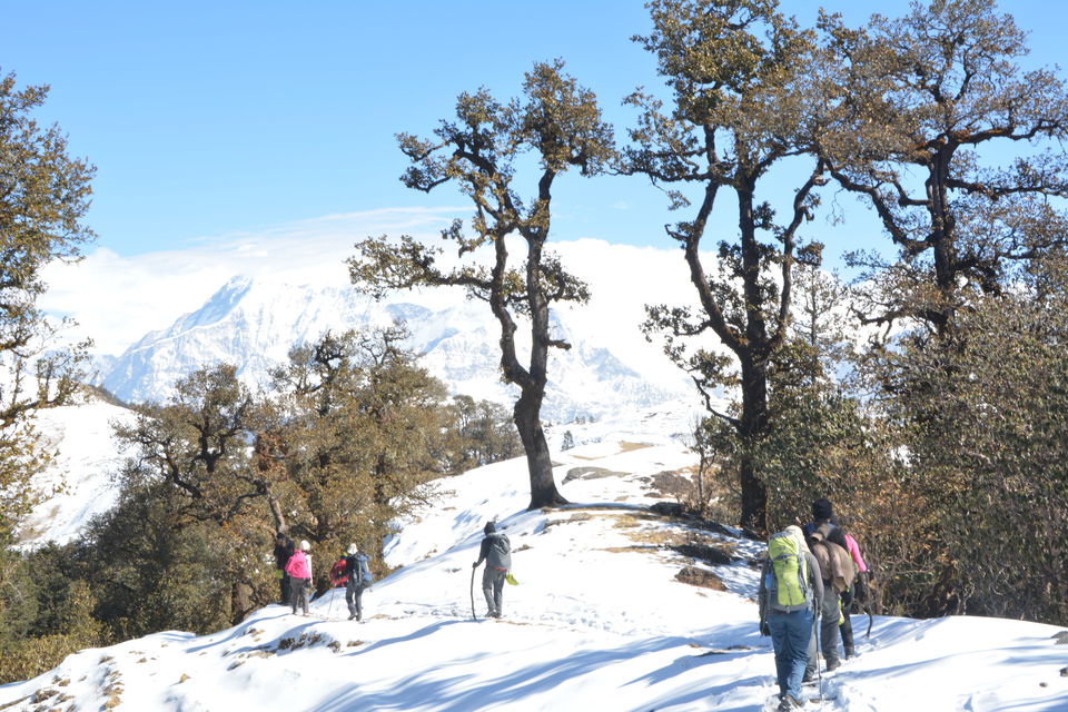 Photo of A Trek Leader's Rulebook On How To Survive A Snow Trek To Brahmatal by Disha Kapkoti