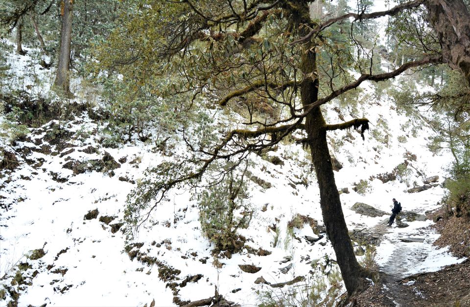 Photo of A Trek Leader's Rulebook On How To Survive A Snow Trek To Brahmatal by Disha Kapkoti