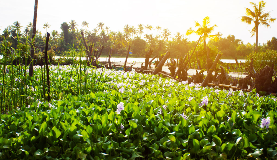 Photo of 12 Breathtaking Private Islands You Can Own For A Night On Your Next Vacation 3/24 by Disha Kapkoti