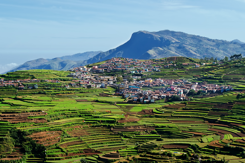 Photo of Kodaikanal, Tamil Nadu, India by Disha Kapkoti