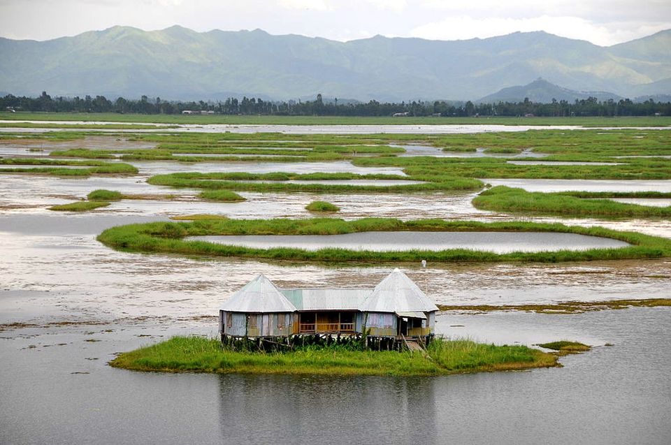 Photo of Loktak Lake, Bishnupur, Manipur, India by Disha Kapkoti