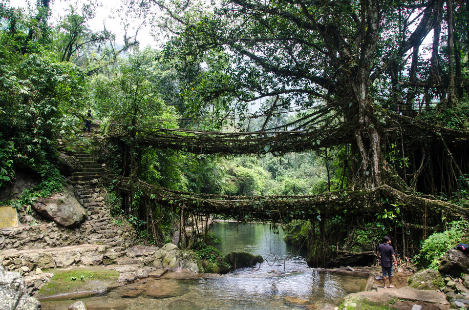 Photo of Mawlynnong, Meghalaya, India by Disha Kapkoti