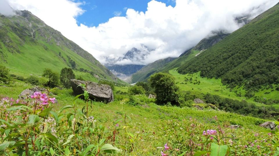 Photo of Valley of Flowers National Park, Chamoli, Uttarakhand, India by Disha Kapkoti