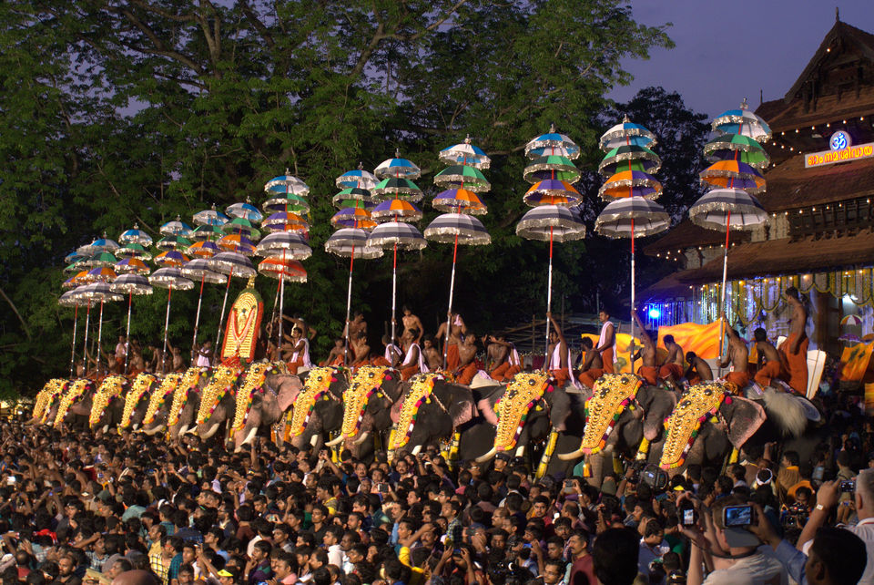 Photo of Thrissur, Kerala, India by Disha Kapkoti