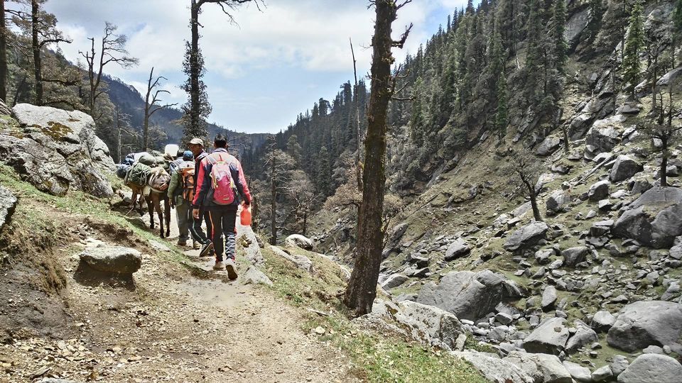 Photo of Kareri Lake Camping, Kareri, Himachal Pradesh, India by Disha Kapkoti