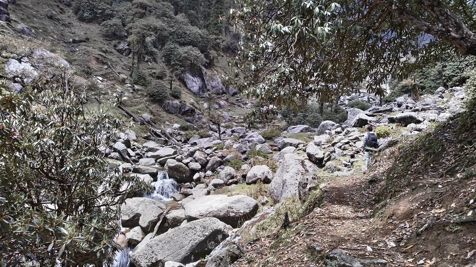 Photo of Kareri Lake Camping, Kareri, Himachal Pradesh, India by Disha Kapkoti