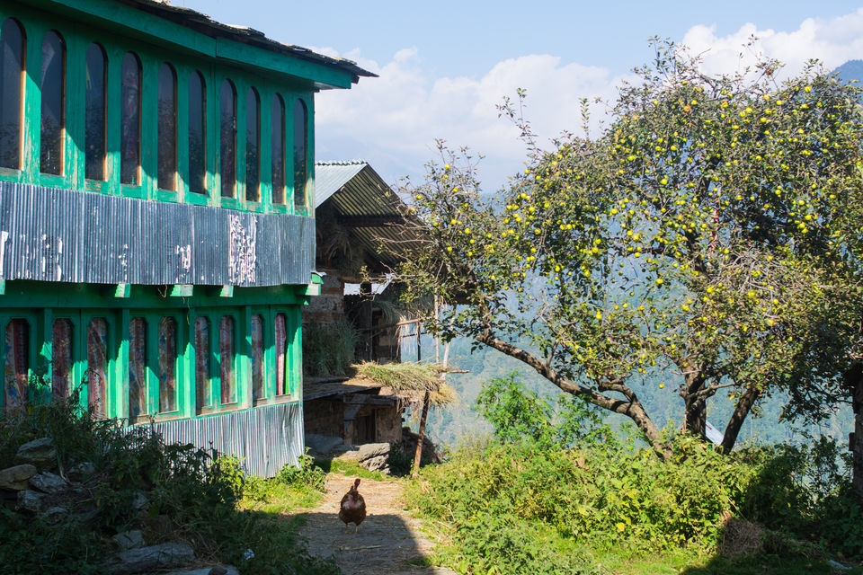 Photo of Tucked In Tirthan Valley, There's A Gorgeous Heritage Village That No One Knows About by Disha Kapkoti