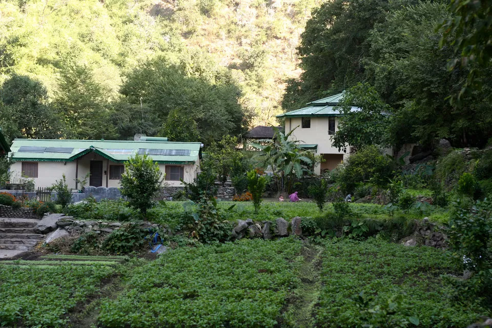 Photo of Soulitude by the Riverside, South Gola Range, Uttarakhand, India by Disha Kapkoti